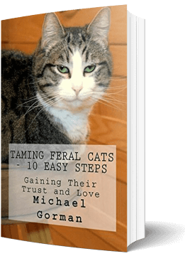 taming-feral-cats-10-easy-steps